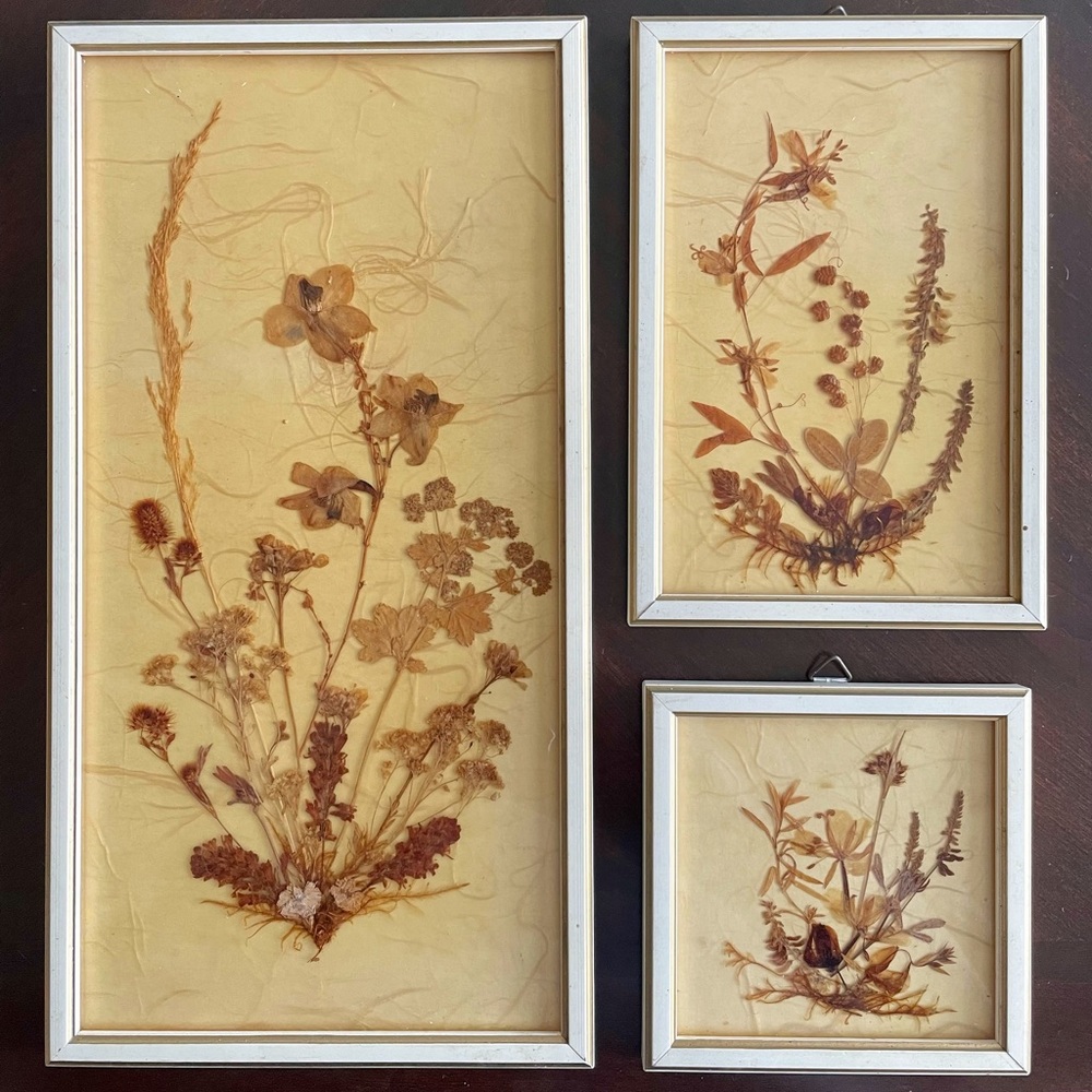 Vintage DINA Framed Pressed Dried Flowers Boho Style Set of 3 Made W. Germany